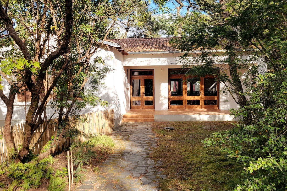 Your Family Villa Under the Pines